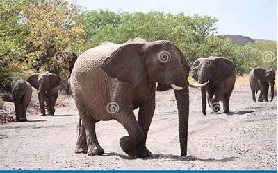 阳江特产作文450字（阳江特产作文450字左右）