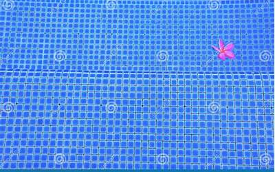 傣族牛肉干巴做法图片(傣族牛肉干巴做法图片大全)