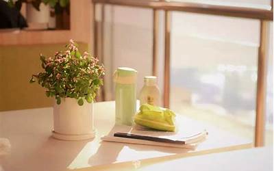 苏州非遗文化遗产都有哪些（苏州非遗文化遗产都有哪些图片）