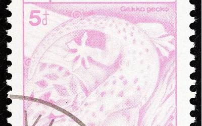 深圳中海世纪建筑设计有限公司(深圳中海世纪建筑设计有限公司南宁分公司)