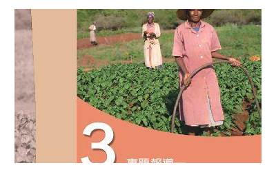 黄豌豆凉粉的做法与配方(黄豌豆凉粉的做法与配方比例)