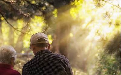 南京有名饭店排名榜（南京有名饭店排名榜前十名）