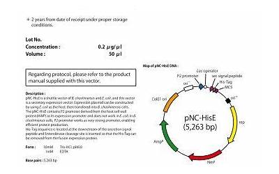 闽南理工学院在哪个村（闽南理工学院在什么村）