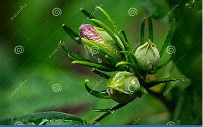 长沙小龙虾品牌排行榜前十名