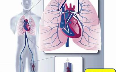 豆浆机芝麻糊的制作方法与配料（豆浆机芝麻糊的制作方法与配料窍门）