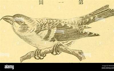 齐鲁理工学院专业排名(张雪峰评价齐鲁工业大学)