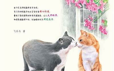 牛杂煲酱料配方