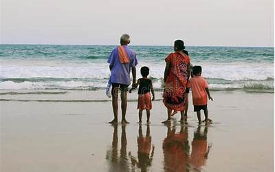 艾草做法(鸡蛋艾草做法)