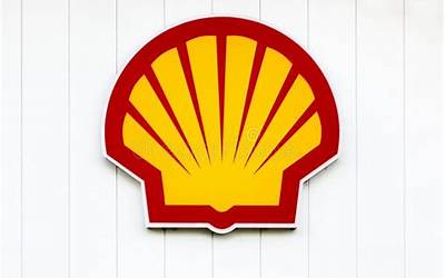 鸡蛋黄炒成油的制作方法（鸡蛋黄炒成油的制作方法视频）