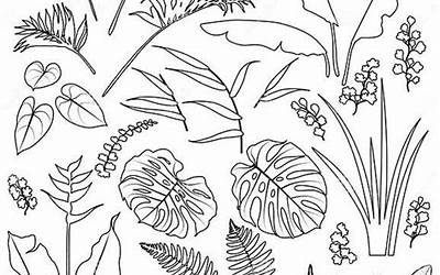 猪肉丸子炖白菜图片(猪肉丸子炖白菜图片大全)