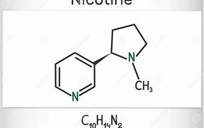 肥腊肉的做法大全家常菜(肥腊肉的做法大全家常菜窍门)