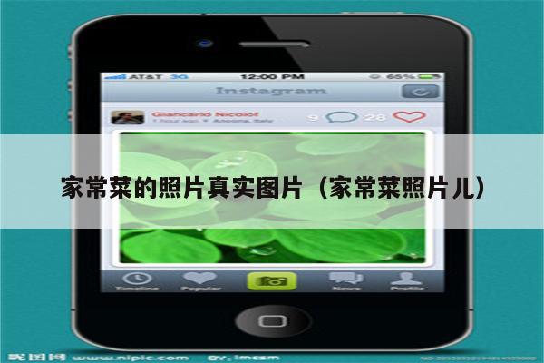 家常菜的照片真实图片(家常菜照片儿)